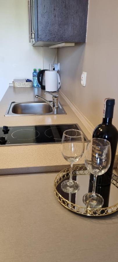 Apartamenty Przy Porcie 54M2 Oraz 31M2 Z Tarasem Венгожино Экстерьер фото